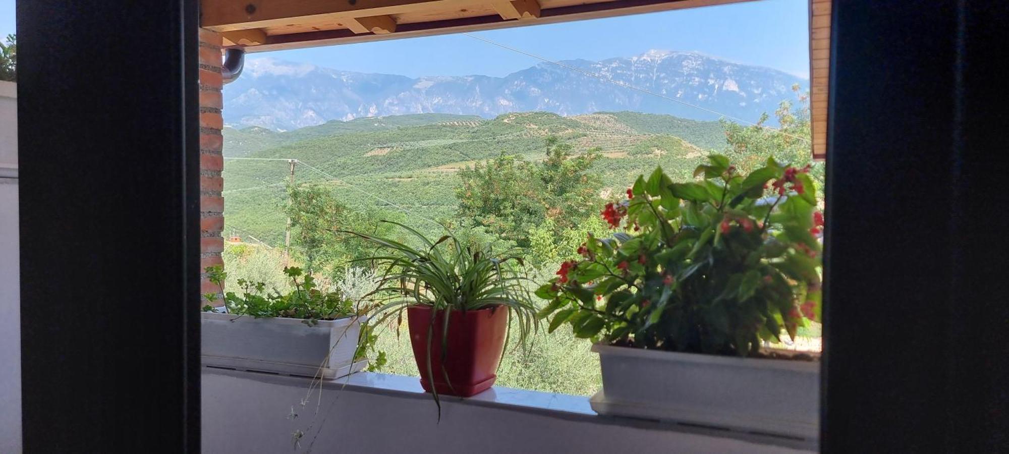 Salillari Guest House Berat Exterior photo